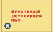 灵芝怎么生长出来(灵芝的生长方式和条件实践指南)
