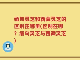缅甸灵芝和西藏灵芝的区别在哪里(区别在哪？缅甸灵芝与西藏灵芝)