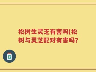 松树生灵芝有害吗(松树与灵芝配对有害吗？
