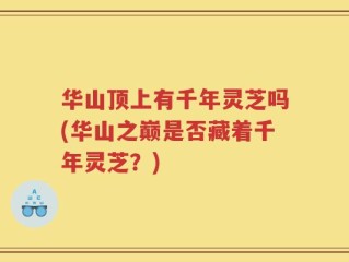 华山顶上有千年灵芝吗(华山之巅是否藏着千年灵芝？)
