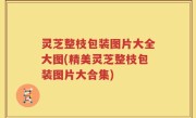 灵芝整枝包装图片大全大图(精美灵芝整枝包装图片大合集)