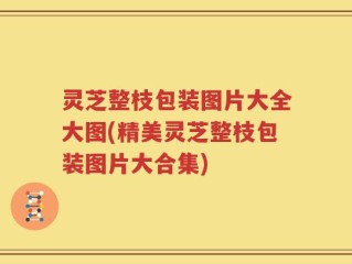 灵芝整枝包装图片大全大图(精美灵芝整枝包装图片大合集)