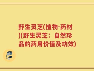 野生灵芝(植物-药材)(野生灵芝：自然珍品的药用价值及功效)