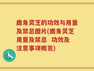 鹿角灵芝的功效与用量及禁忌图片(鹿角灵芝用量及禁忌  功效及注意事项概览)