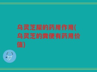 乌灵芝屎的药用作用(乌灵芝的粪便有药用价值)