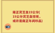 雍正灵芝盘19公分(19公分灵芝盘惊现，或许是雍正年间珍品)