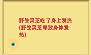 野生灵芝吃了身上发热(野生灵芝导致身体发热)