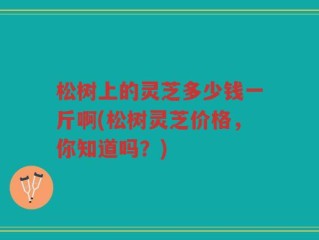 松树上的灵芝多少钱一斤啊(松树灵芝价格，你知道吗？)