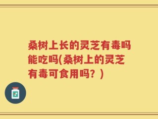 桑树上长的灵芝有毒吗能吃吗(桑树上的灵芝有毒可食用吗？)