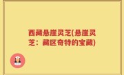 西藏悬崖灵芝(悬崖灵芝：藏区奇特的宝藏)