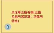 灵芝草五指毛桃(五指毛桃与灵芝草：功效与特点)