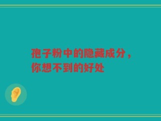 孢子粉中的隐藏成分，你想不到的好处
