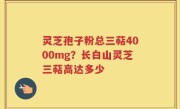 灵芝孢子粉总三萜4000mg？长白山灵芝三萜高达多少
