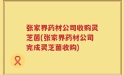 张家界药材公司收购灵芝菌(张家界药材公司完成灵芝菌收购)