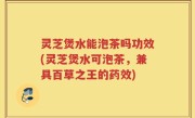 灵芝煲水能泡茶吗功效(灵芝煲水可泡茶，兼具百草之王的药效)