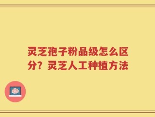 灵芝孢子粉品级怎么区分？灵芝人工种植方法