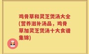 鸡骨草和灵芝煲汤大全(营养滋补汤品，鸡骨草加灵芝煲汤十大食谱集锦)