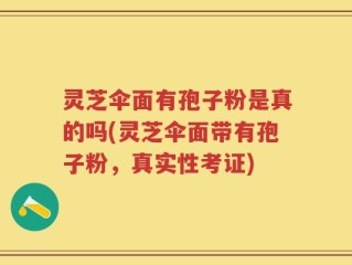 灵芝伞面有孢子粉是真的吗(灵芝伞面带有孢子粉，真实性考证)