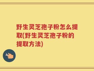 野生灵芝孢子粉怎么提取(野生灵芝孢子粉的提取方法)