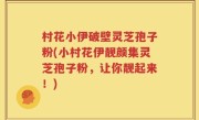 村花小伊破壁灵芝孢子粉(小村花伊靓颜集灵芝孢子粉，让你靓起来！)