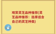 观赏灵芝品种推荐(灵芝品种推荐：选择适合自己的灵芝种类)