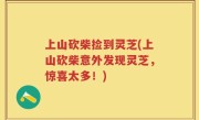 上山砍柴捡到灵芝(上山砍柴意外发现灵芝，惊喜太多！)