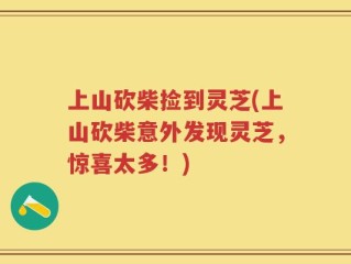 上山砍柴捡到灵芝(上山砍柴意外发现灵芝，惊喜太多！)