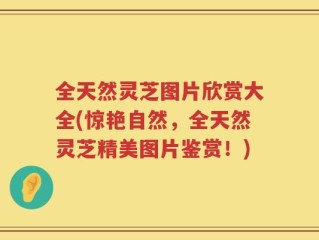 全天然灵芝图片欣赏大全(惊艳自然，全天然灵芝精美图片鉴赏！)