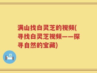 满山找白灵芝的视频(寻找白灵芝视频——探寻自然的宝藏)