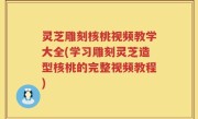 灵芝雕刻核桃视频教学大全(学习雕刻灵芝造型核桃的完整视频教程)
