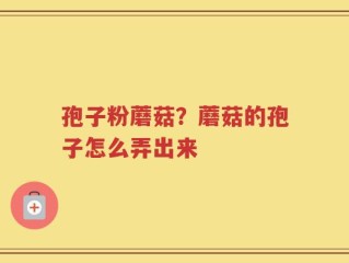孢子粉蘑菇？蘑菇的孢子怎么弄出来