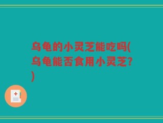 乌龟的小灵芝能吃吗(乌龟能否食用小灵芝？)