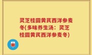 灵芝桂圆黄芪西洋参麦冬(多味养生汤：灵芝桂圆黄芪西洋参麦冬)