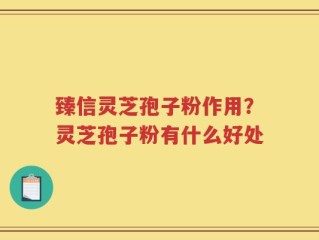 臻信灵芝孢子粉作用？灵芝孢子粉有什么好处