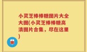 小灵芝棒棒糖图片大全大图(小灵芝棒棒糖高清图片合集，尽在这里)