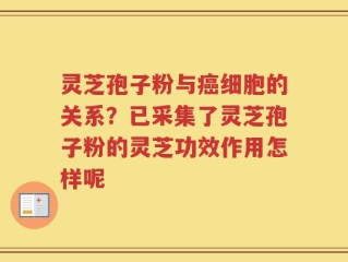 灵芝孢子粉与癌细胞的关系？已采集了灵芝孢子粉的灵芝功效作用怎样呢