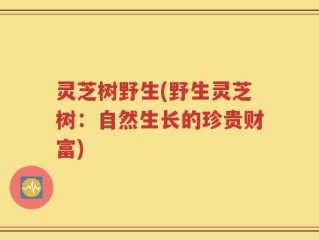 灵芝树野生(野生灵芝树：自然生长的珍贵财富)