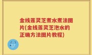 金线莲灵芝煮水煮法图片(金线莲灵芝泡水的正确方法图片教程)