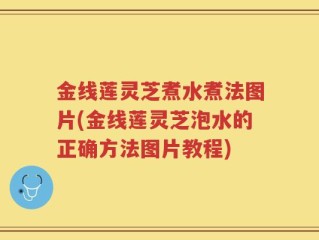 金线莲灵芝煮水煮法图片(金线莲灵芝泡水的正确方法图片教程)