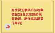 野生灵芝制药方法视频教程(野生灵芝制药视频教程：制作高品质灵芝草药)