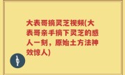 大表哥摘灵芝视频(大表哥亲手摘下灵芝的感人一刻，原始土方法神效惊人)