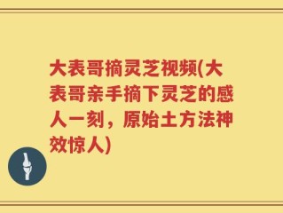 大表哥摘灵芝视频(大表哥亲手摘下灵芝的感人一刻，原始土方法神效惊人)