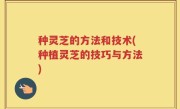 种灵芝的方法和技术(种植灵芝的技巧与方法)