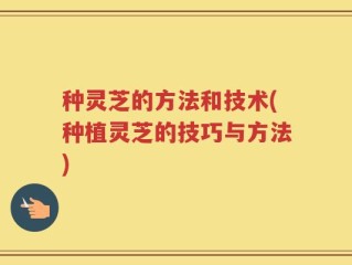 种灵芝的方法和技术(种植灵芝的技巧与方法)