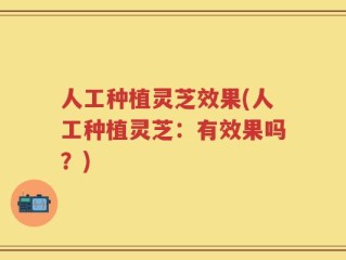 人工种植灵芝效果(人工种植灵芝：有效果吗？)