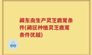 藏东南生产灵芝鹿茸条件(藏区种植灵芝鹿茸条件优越)