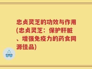 忠贞灵芝的功效与作用(忠贞灵芝：保护肝脏、增强免疫力的药食同源佳品)