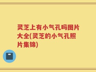 灵芝上有小气孔吗图片大全(灵芝的小气孔照片集锦)
