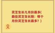 灵芝生长几月份最多(最佳灵芝生长期：哪个月份灵芝生长最多？)