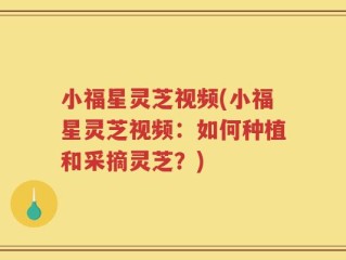 小福星灵芝视频(小福星灵芝视频：如何种植和采摘灵芝？)